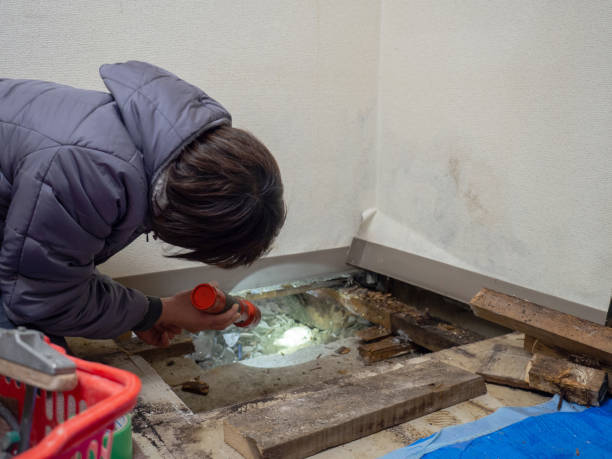 Best Asbestos and Lead Testing During Mold Inspection  in Westminster, MD