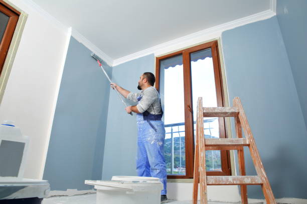 Best Basement Mold Removal  in Westminster, MD