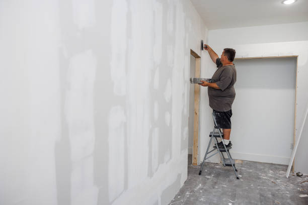 Trusted Westminster, MD Mold Removal Experts