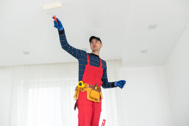 Biohazard Mold Removal in Westminster, MD