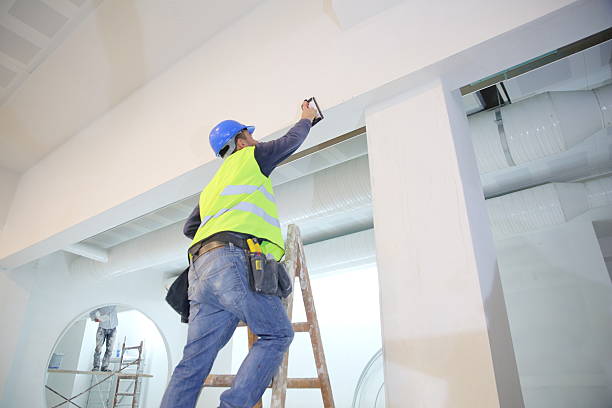 Best Environmental Consulting for Mold Prevention  in Westminster, MD