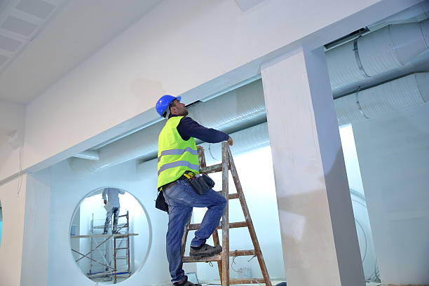 Best Mold Odor Removal Services  in Westminster, MD
